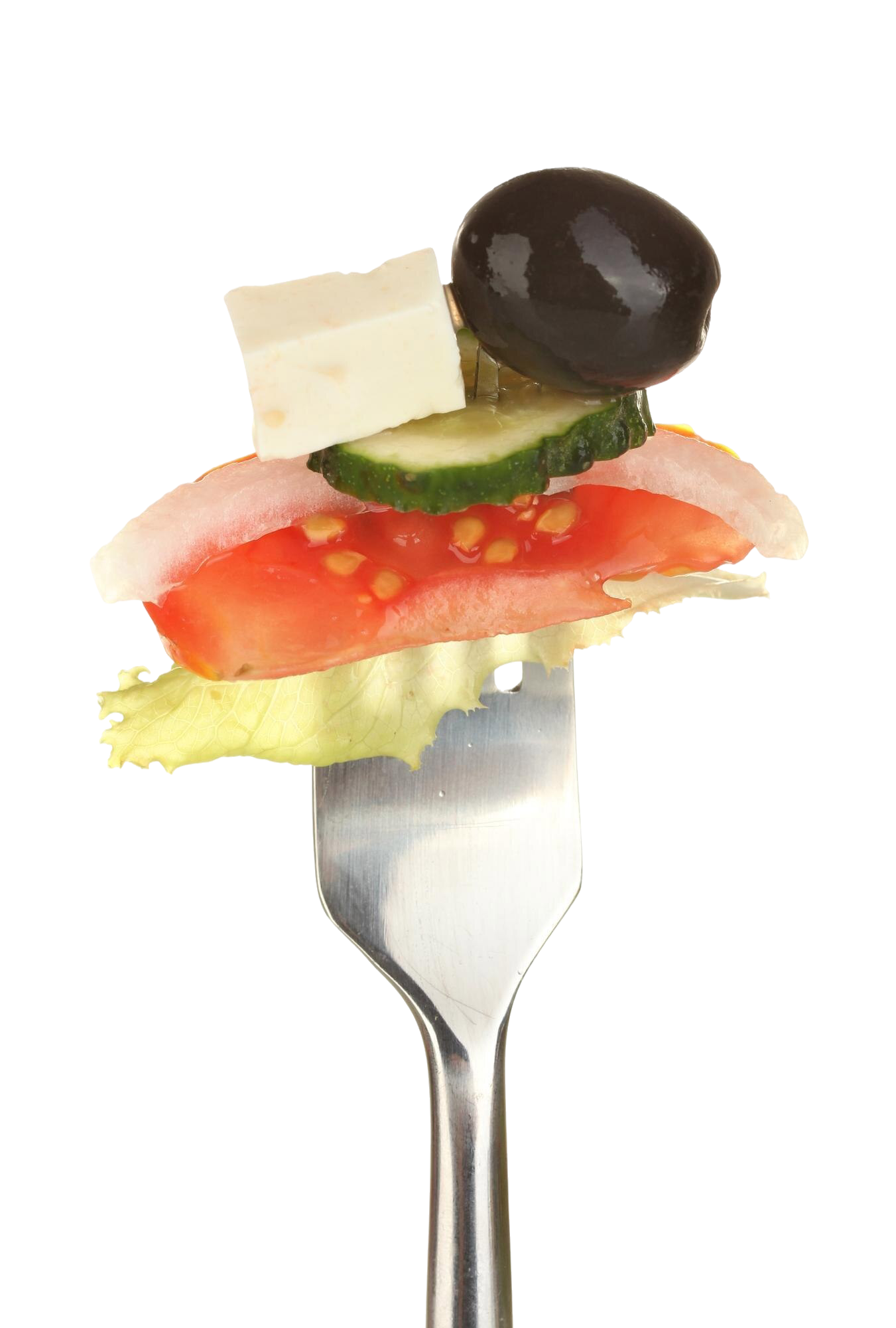 laspalmeras-alameda-19